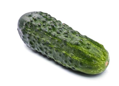 Yakın çekim yeşil salatalık. Beyaz bir arka plan üzerinde izole bir bütün ve taze salatalık. Sağlıklı Salatalar için lezzetli sebze. 