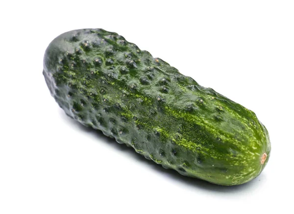 Yakın çekim yeşil salatalık. Beyaz bir arka plan üzerinde izole bir bütün ve taze salatalık. Sağlıklı Salatalar için lezzetli sebze. 