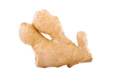 Güzel besleyici zencefil kökü yakın çekim. Beyaz arka plan üzerinde izole sağlıklı kahverengi kök. Sağlıklı gıda.