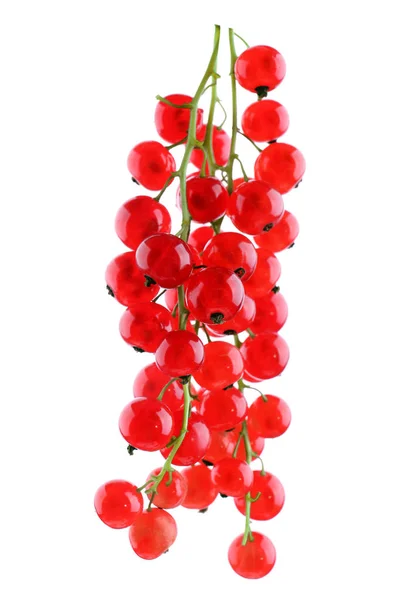 Close-up de uma groselha vermelha madura, isolada sobre um fundo branco. Um monte de bagas vermelhas coloridas. Bagas saudáveis e deliciosas . — Fotografia de Stock