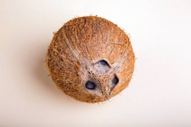 Açık pembe renkli bütün kahverengi bir Hindistan cevizi. Çeşitli yaz diyetler için besleyici ve tatlı somun. Organik tatlılar için egzotik malzemeler.