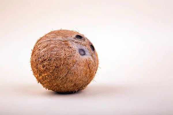 Un coco marrón entero sobre un fondo rosa claro. La nuez nutritiva y dulce para las dietas distintas veraniegas. Ingredientes exóticos para postres ecológicos . — Foto de Stock