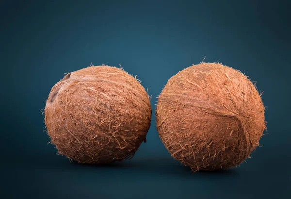 暗い青色の背景の 2 つの全体と新鮮なココナッツのクローズ アップ。エキゾチックなココナッツのビタミンが豊富。全体でおいしい茶色ココナッツ. — ストック写真