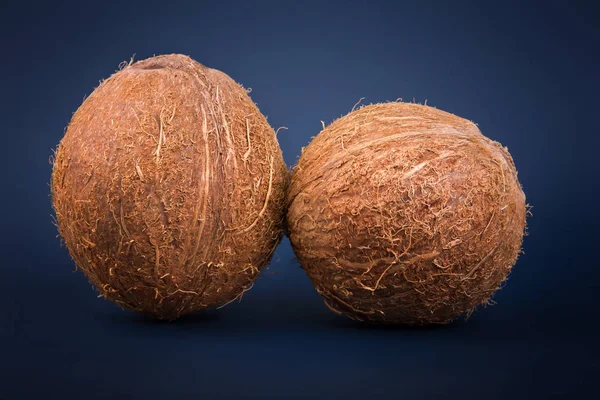 Egzotikus gyümölcs-kókusz teljes szerves tápanyagok. Teljesen friss és barna kókuszdiót, sötét kék háttérrel. Trópusi és egészséges dió. — Stock Fotó