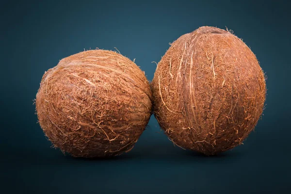 Zbliżenie dwóch całych i świeżych kokosów na ciemnym niebieskim tle. Egzotyczne kokosy na pełne witamin. Całe i smaczny kokos brązowy. — Zdjęcie stockowe