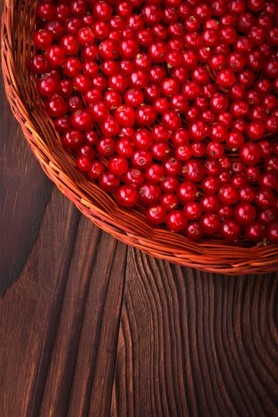 Bir ışık ahşap sepet sulu ve çiğ kırmızı kuş üzümü koyu kahverengi ahşap arka plan üzerinde dolu. Sağlıklı, taze ve olgun parlak kırmızı meyveler kahverengi kasanın içinde. Yaz meyve.