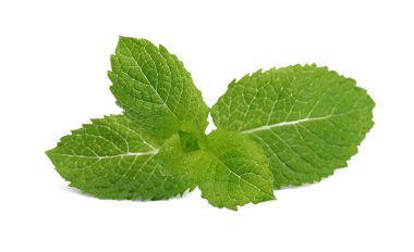 izole üzerinde beyaz arka plan yakın çekim yeşil taze nane yaprakları