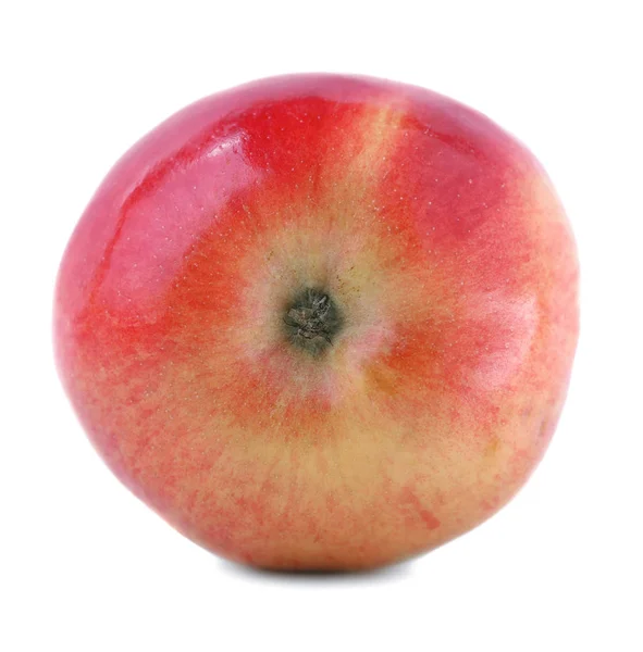 Een close-up van één appel. Een heerlijke en sappige appel geïsoleerd op een witte achtergrond. Een multi-gekleurde gezonde appel. Zwoele zomer fruit. — Stockfoto