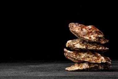 Siyah bir zemin üzerine lezzetli taze kapalı istiridye. Tropikal deniz yumuşakça. Pahalı yiyecek. Kopya alanı.