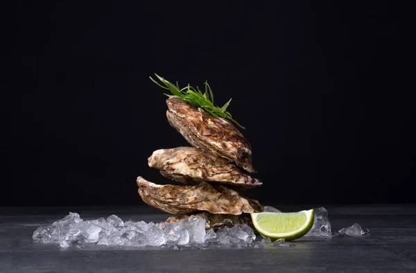 Leckere und frische Austern auf schwarzem Hintergrund. Weichtiere mit Crushed Ice, Estragon und Limette. Köstliche Delikatessen. Kopierraum. — Stockfoto