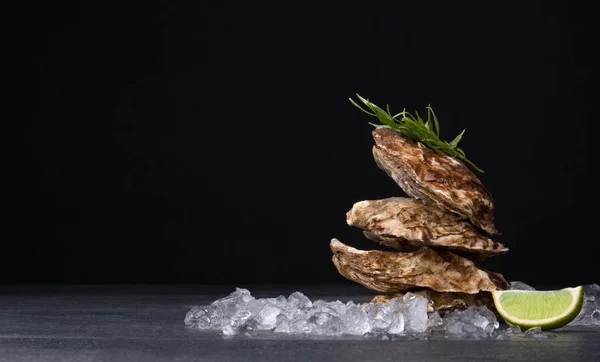 Leckere und frische Austern auf schwarzem Hintergrund. Weichtiere mit Crushed Ice, Estragon und Limette. Köstliche Delikatessen. Kopierraum. — Stockfoto