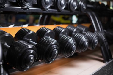 Spor salonu zemin üzerine barbell kümesi. Siyah metal ağır dumbbells kabukları. Vücut geliştirme, beden eğitimi kavramı.