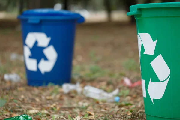 Dos coloridos contenedores de reciclaje sobre un fondo natural borroso. Contenedores para reciclaje de basura. Ecología, concepto de reciclaje . — Foto de Stock