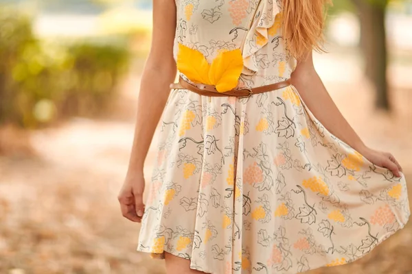 Kahverengi Kemer Sonbahar Yaprakları Ile Beyaz Bir Elbise Close — Stok fotoğraf