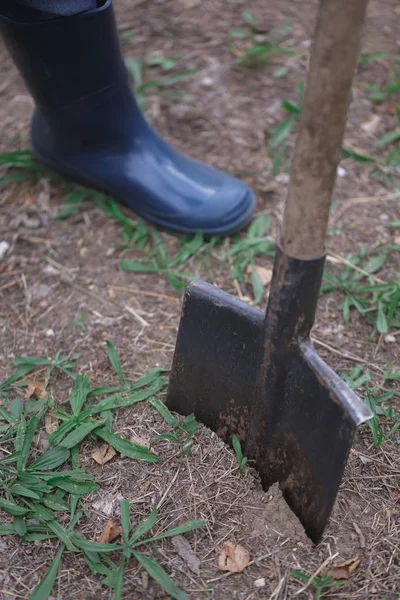 Lastik adam dikim ağaç parkta sonbahar gün çizme