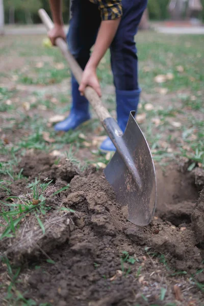 Hombre Cava Una Pala Jardín Trabajo Agrícola Preparación Para Cultivo — Foto de Stock