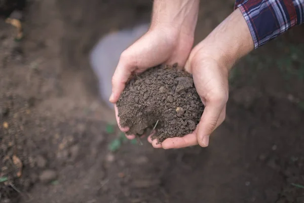 토양으로 인간의 클로즈업 이미지입니다 토양입니다 손에서 어린이의 토양으로 심기는 — 스톡 사진