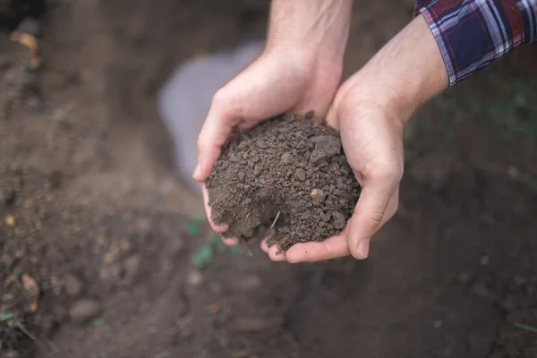 Pojke Händer Planterar Plantor Marken Närbild Bild Människas Hand Jord — Stockfoto