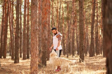 Yakışıklı genç bir labrador ormandaki açık havada ile.