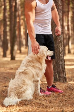 Yakışıklı genç bir labrador ormandaki açık havada ile.