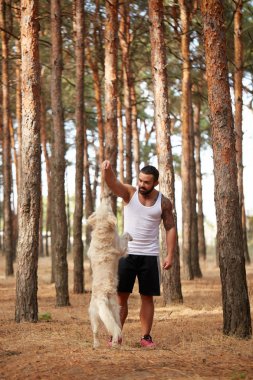 Yakışıklı genç bir labrador ormandaki açık havada ile.