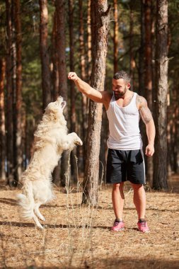 Yakışıklı genç bir labrador ormandaki açık havada ile.
