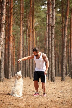Yakışıklı genç bir labrador ormandaki açık havada ile.
