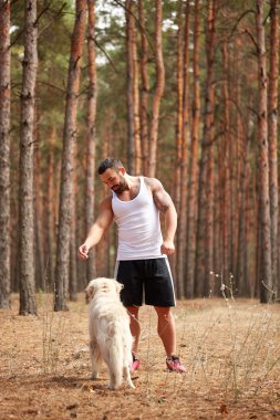 Yakışıklı genç bir labrador ormandaki açık havada ile.