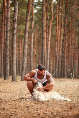 Yakışıklı genç bir labrador ormandaki açık havada ile.