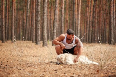 Yakışıklı genç bir labrador ormandaki açık havada ile.