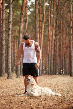 Yakışıklı genç bir labrador ormandaki açık havada ile.