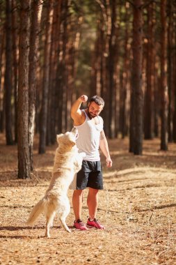 Ormanda açık yürüyen labrador köpek ile güçlü esmer adam.