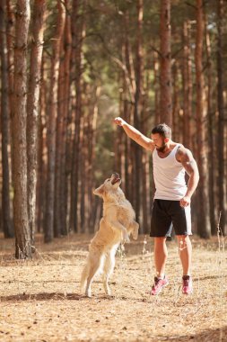Ormanda açık yürüyen labrador köpek ile güçlü esmer adam.