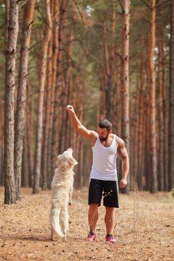 Bir adam ile bir köpek park ormanda yürüyor.