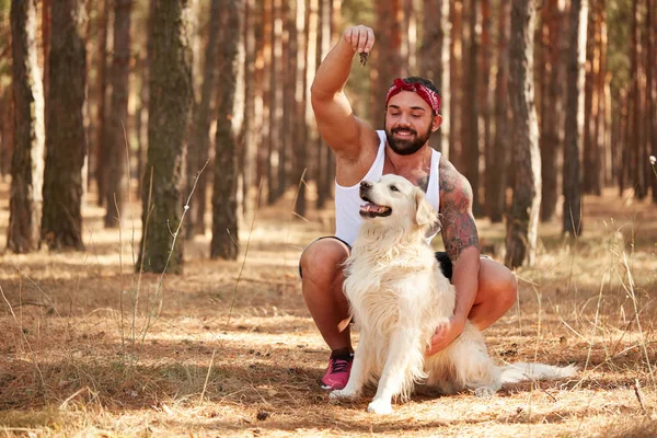 Yakışıklı genç bir labrador ormandaki açık havada ile.