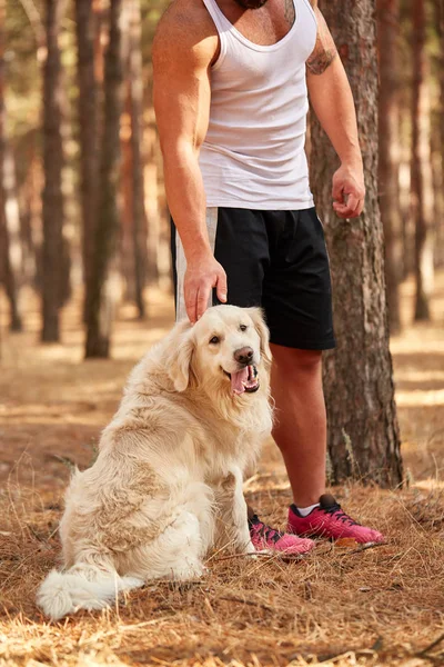 Yakışıklı genç bir labrador ormandaki açık havada ile.