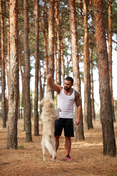 Yakışıklı genç bir labrador ormandaki açık havada ile.
