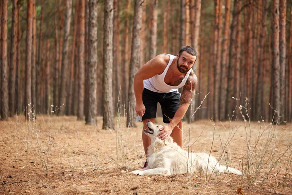 Yakışıklı genç bir labrador ormandaki açık havada ile.