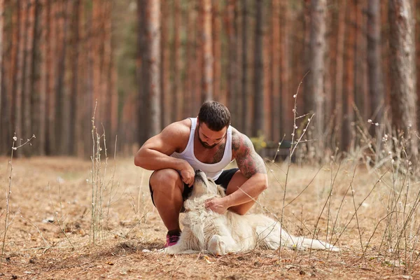 Bir adam bir köpek için a yürümek ormanda okşayarak