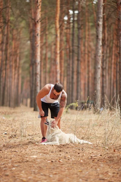 Ένας άνθρωπος χαϊδεύοντας ένα σκυλί στο δάσος για μια βόλτα — Φωτογραφία Αρχείου