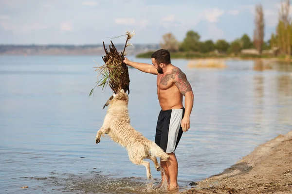 A man is playing with a dog in the water