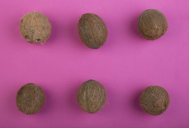 Bir kompozisyon zor Hindistan cevizi parlak koyu kırmızı zemin üzerine bir grup. Mükemmel organize Hindistan cevizi sağlıklı vitamin dolu. Summer, doğa, tazelik kavramı. Tropikal meyveler yaz tatlılar için.