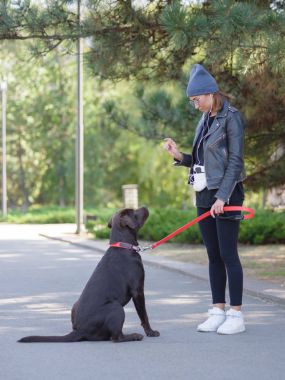 Kız köpekle komutları verir, köpek eğitimli