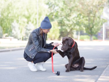 Bir köpek tasmalı bir pençe metresine verir.