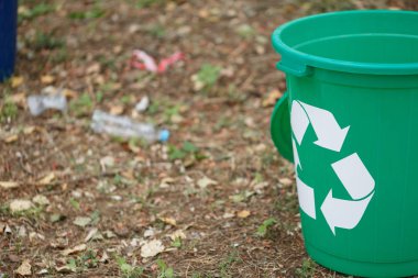Yakın çekim resmini parkta parlak yeşil geri dönüşüm kutusu. Bir plastik konteyner yanında bir bulanık zemin zemin üzerine bir plastik şişe geri dönüşüm çöp için. Ekoloji, doğa koruma kavramı.