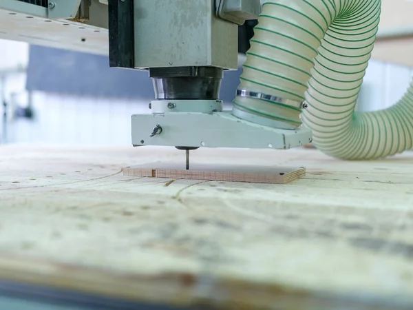 Testere makinesi ahşap desenleri ağaca yapar.