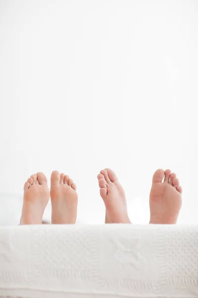 Jovem casal sensual juntos na cama. Casal feliz no quarto isolado em um fundo branco . — Fotografia de Stock