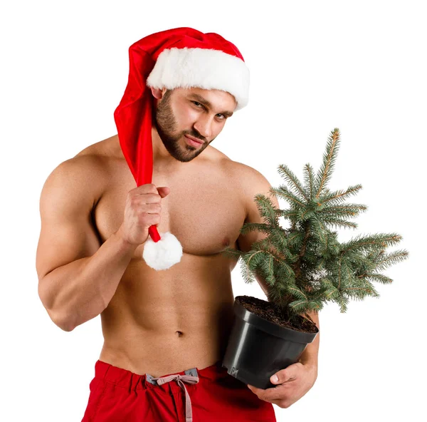 Ritratto di uomo macho in costume da Babbo Natale con un piccolo albero di Natale . — Foto Stock