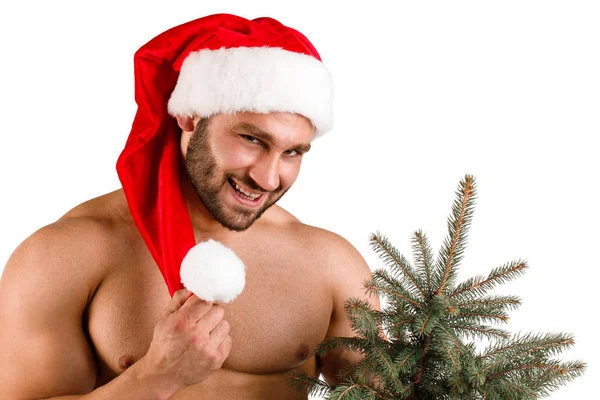 Sexy Christmas man standing near the fir-tree isolated on a white background. — Stock Photo, Image