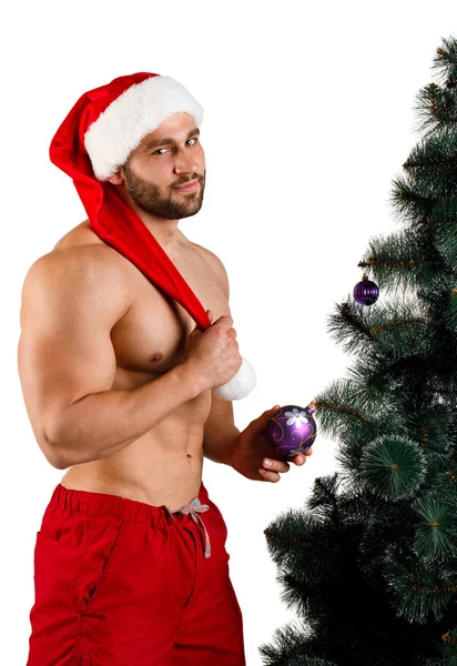 Seksi Noel adam ayakta beyaz bir arka plan üzerinde izole köknar ağacı yakınındaki.